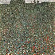 Gustav Klimt Mohnfeld Germany oil painting artist